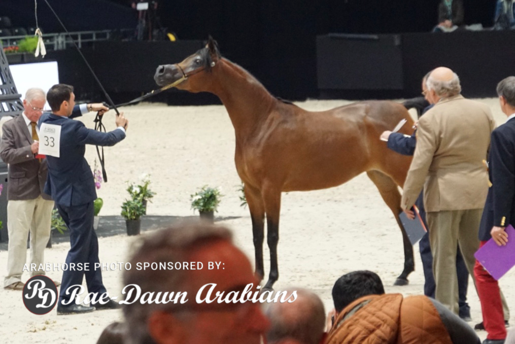 Paris World Championship 2018