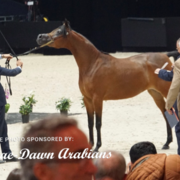 Paris World Championship 2018