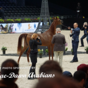 Paris World Championship 2018