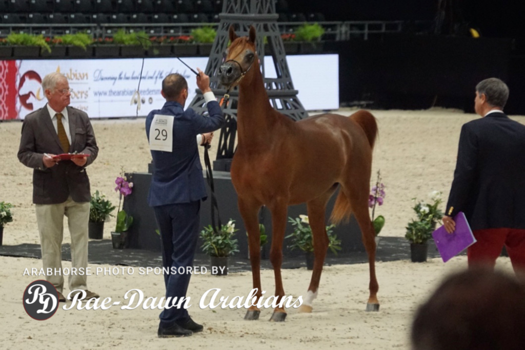 Paris World Championship 2018