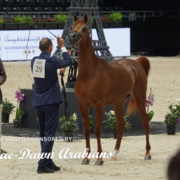 Paris World Championship 2018