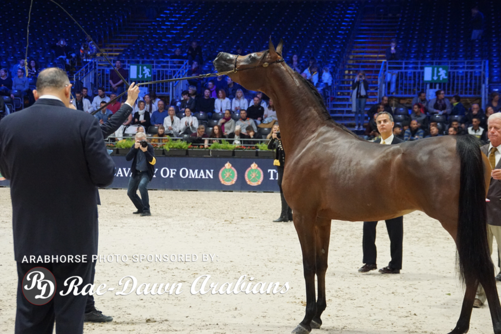 Paris World Championship 2018