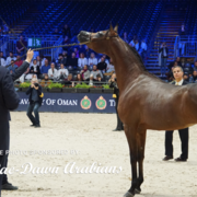 Paris World Championship 2018