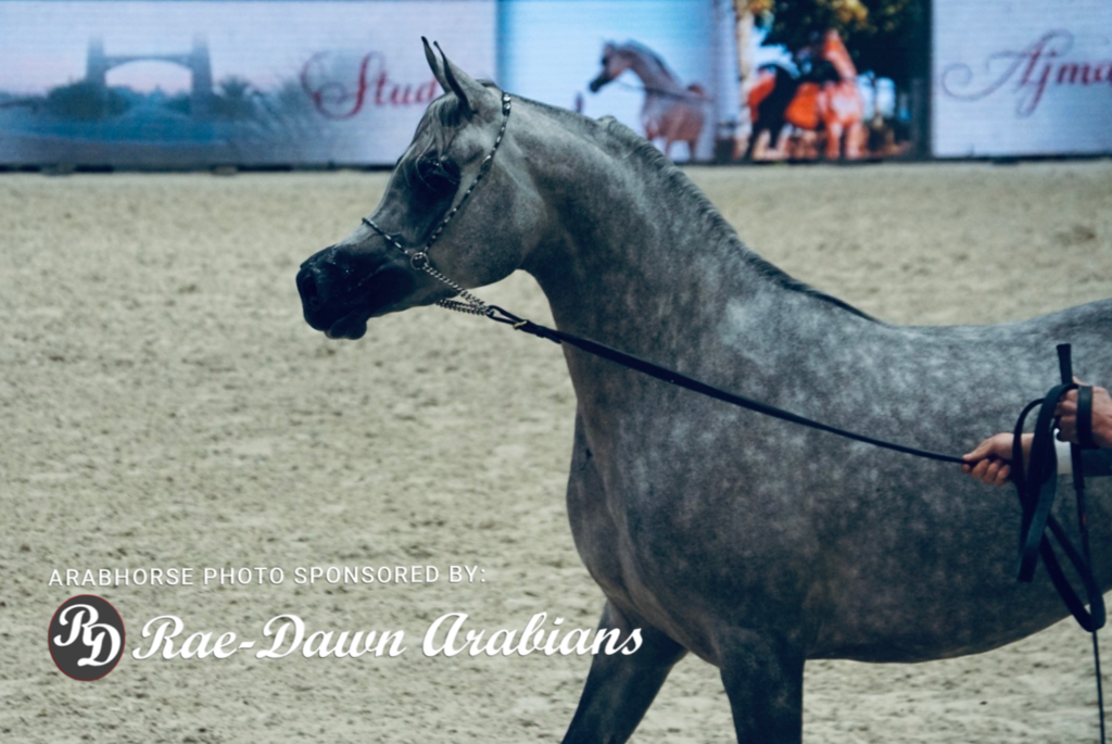 Paris World Championship 2018