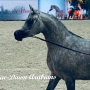 Paris World Championship 2018