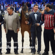 Paris World Championship 2018