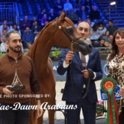 Paris World Championship 2018