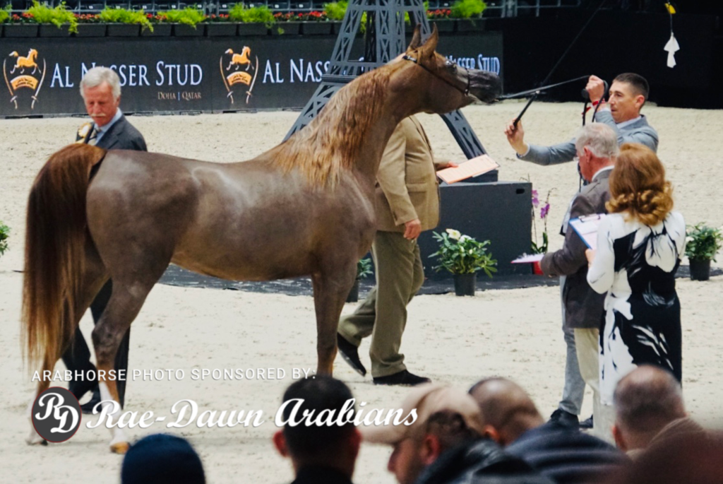 Paris World Championship 2018