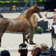 Paris World Championship 2018