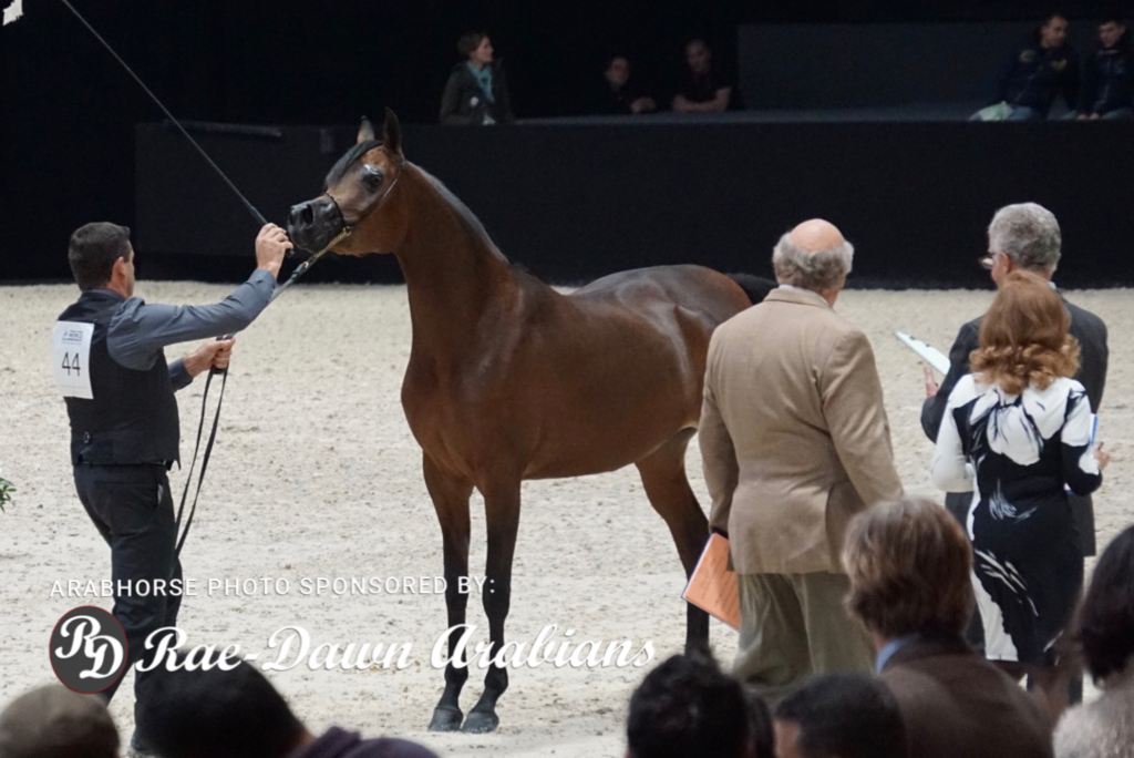 Paris World Championship 2018