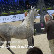 Paris World Championship 2018