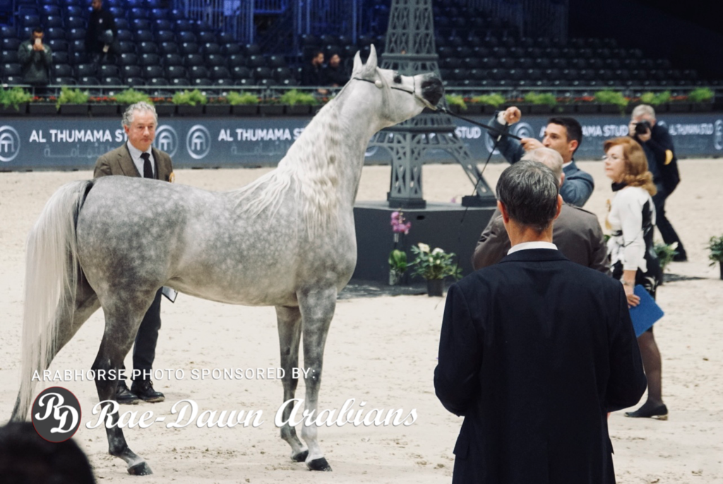 Paris World Championship 2018