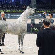 Paris World Championship 2018