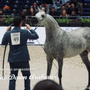 Paris World Championship 2018