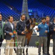 Paris World Championship 2018