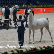 Paris World Championship 2018