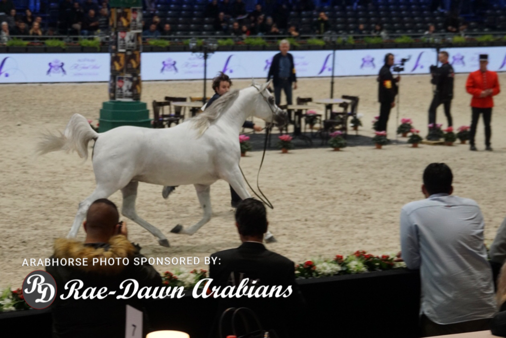 Paris World Championship 2018