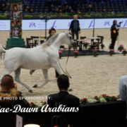 Paris World Championship 2018