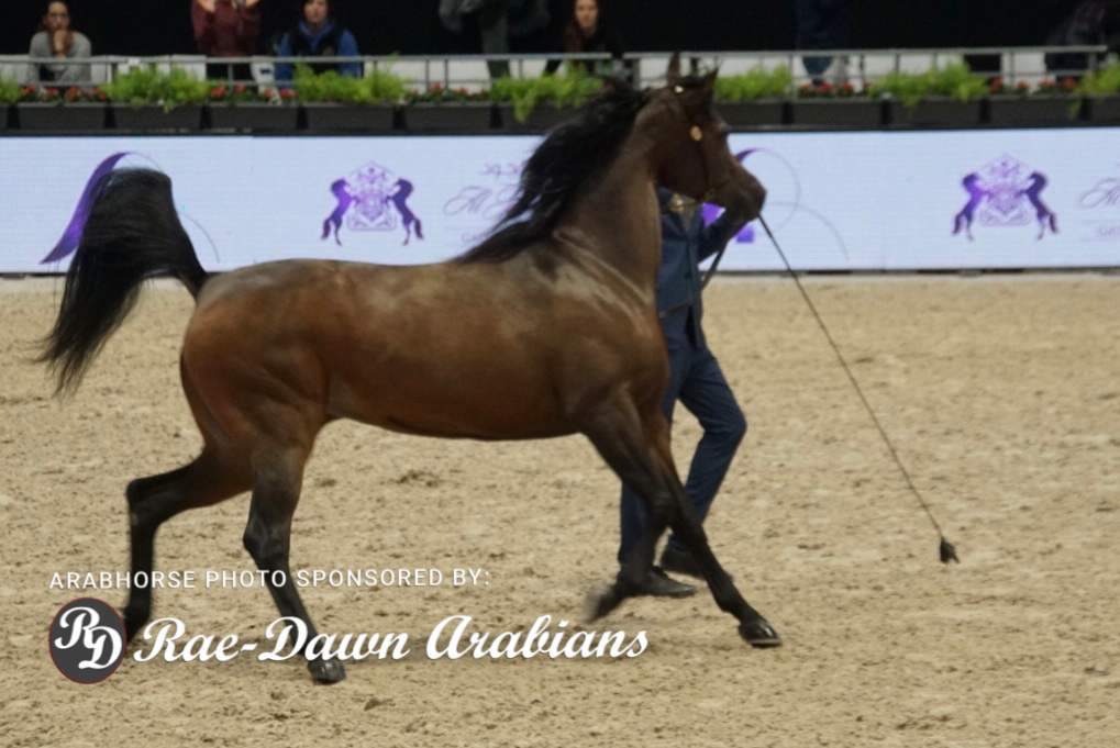 Paris World Championship 2018