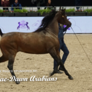 Paris World Championship 2018