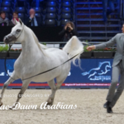 Paris World Championship 2018