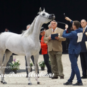 Paris World Championship 2018