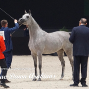 Paris World Championship 2018