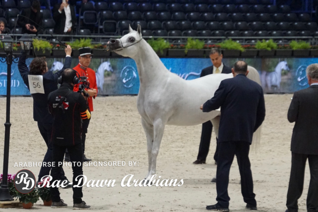 Paris World Championship 2018