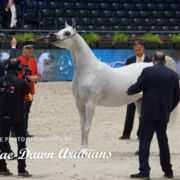 Paris World Championship 2018