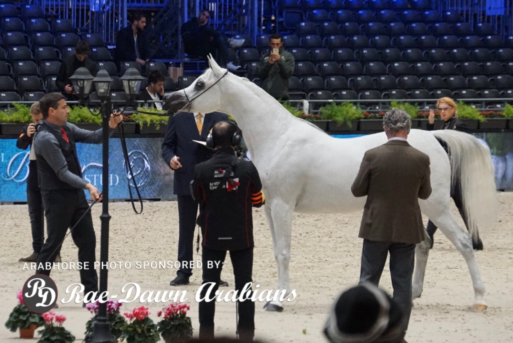 Paris World Championship 2018