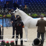 Paris World Championship 2018