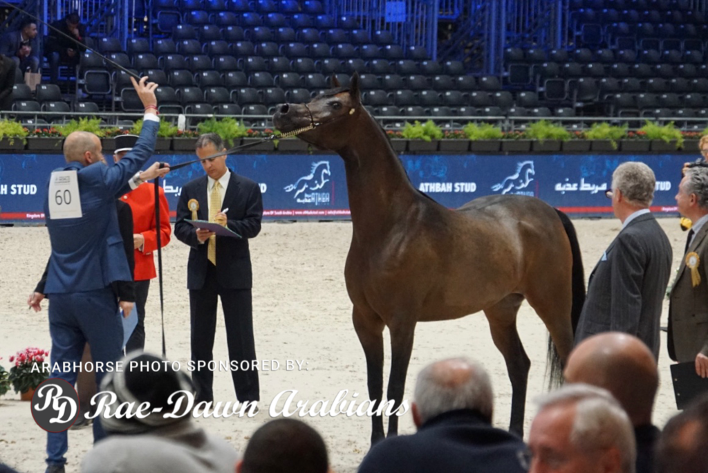 Paris World Championship 2018