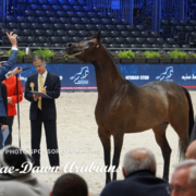 Paris World Championship 2018