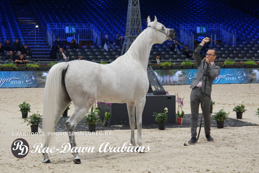 Paris World Championship 2018