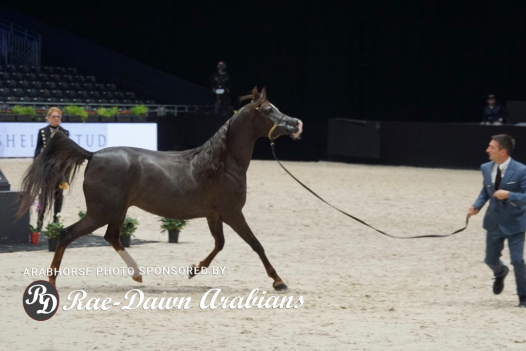 Paris World Championship 2018