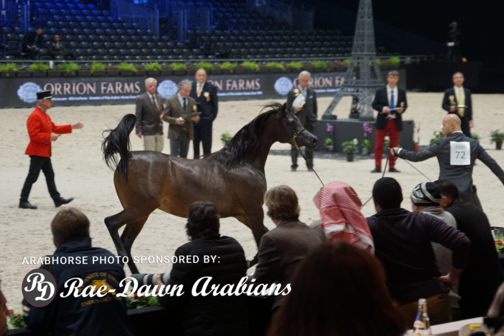 Paris World Championship 2018