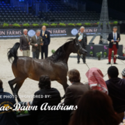 Paris World Championship 2018