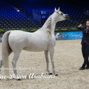 Paris World Championship 2018