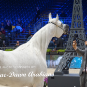 Paris World Championship 2018