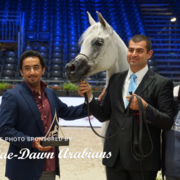 Paris World Championship 2018