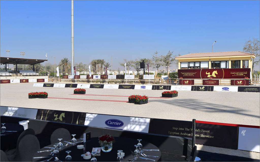 The 2018 Egyptian Event ~ Cairo: Innovation in Egypt