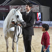 Senior Mare Silver Champion: Zawaher Fila (Murtajab Al Nakeeb X Zahrana)