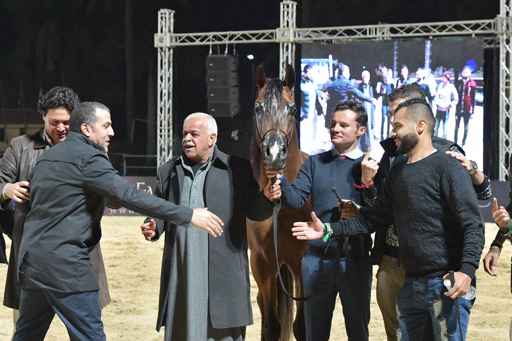 Junior Colt Gold Champion: Fawaz Al Mamlaka (PCF Vision X UL Sid Parma)