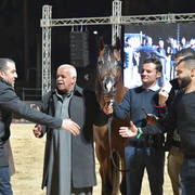 Junior Colt Gold Champion: Fawaz Al Mamlaka (PCF Vision X UL Sid Parma)