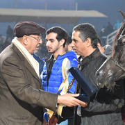 Junior Filly Gold Champion: Mansoura Al Sheruk (Moez Al Kaherah X Lamees Al Kaherah)