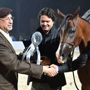 Junior Filly Silver Champion: Amani Al Mamlaka (PCF Vision X Amani Al Khalediah)