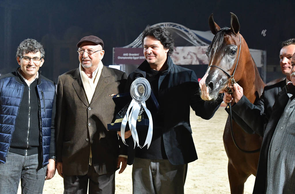 Junior Filly Silver Champion: Amani Al Mamlaka (PCF Vision X Amani Al Khalediah)