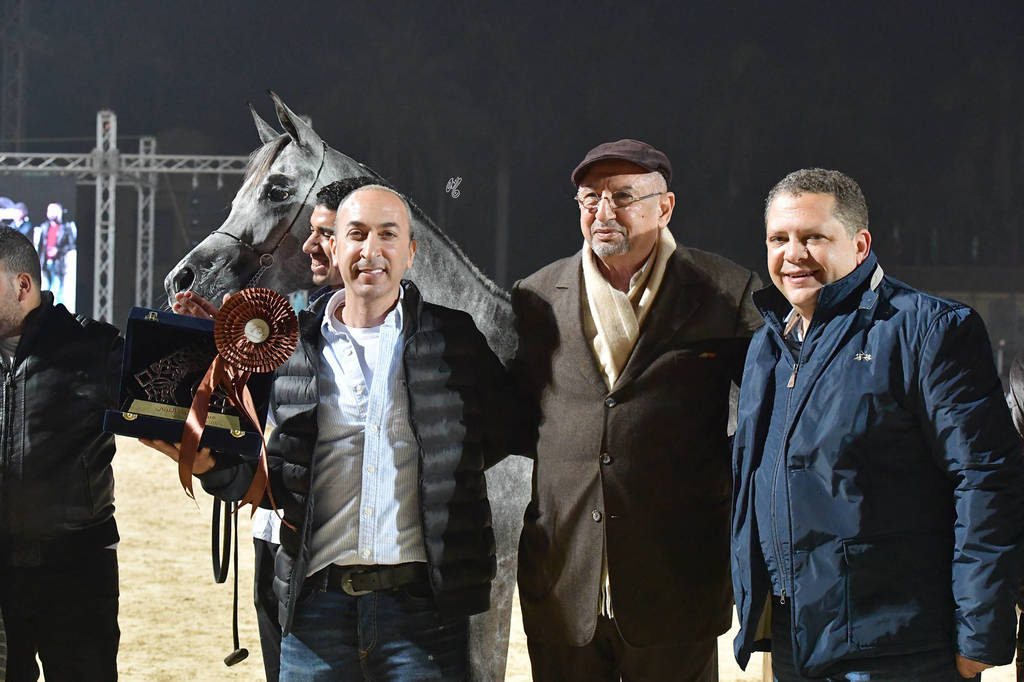 Junior Filly Bronze Champion: Marya Al Azab (Mostafa El Sherouk X Moniet El Nefous El Sherouk)