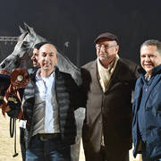Junior Filly Bronze Champion: Marya Al Azab (Mostafa El Sherouk X Moniet El Nefous El Sherouk)
