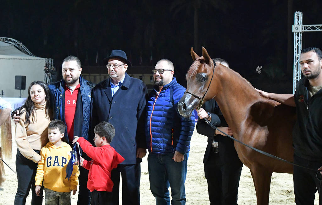 Yearling Colt Silver Champion: Arbak Al Farida (Mazin Al Bidayer X Farida Athbah)